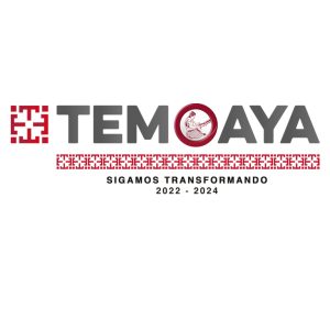 Prensa Temoaya